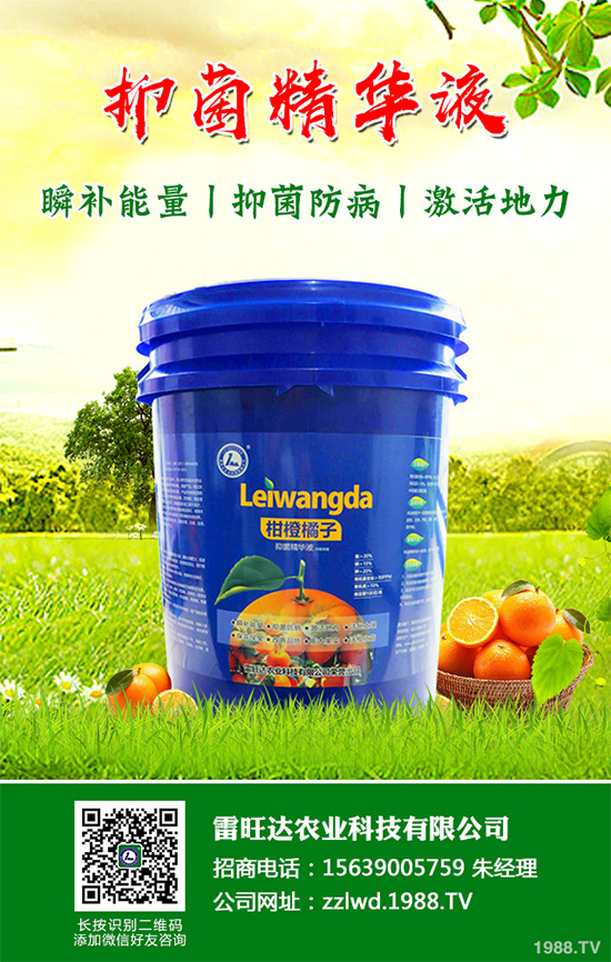 �L�ڵ͜ع��գ��߲��L�ݲ�ԓ��ν�Q�����������a��Ď�헴�ʩ