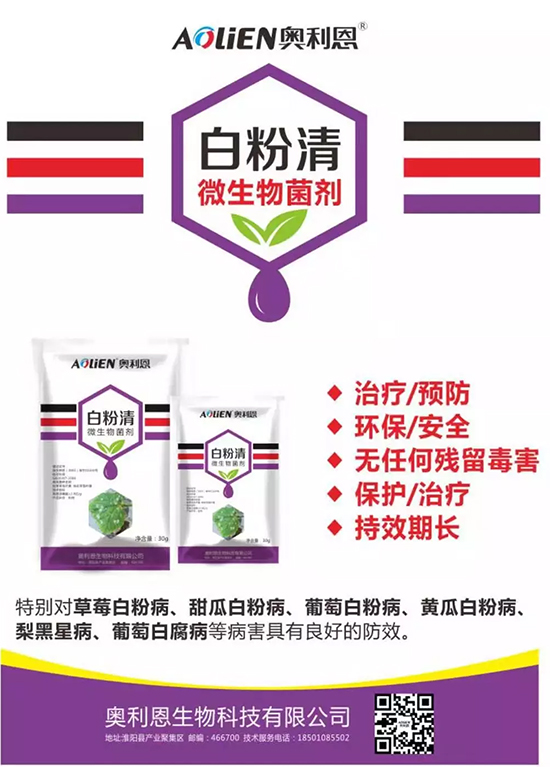 �׷۲�������(f��)�y�p���� ӛס�@��(g��)ˎ����Ч���ΰ׷۲����P����