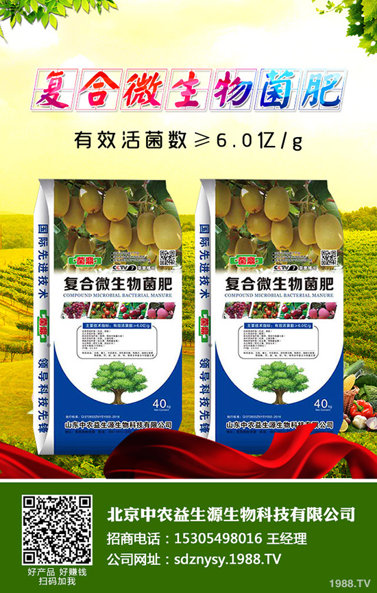 �����˵Ĺ�Ч�c�����������˵ĠI�B(y��ng)�r(ji��)ֵ��