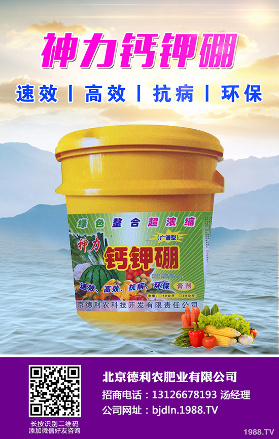 ���¹ϷNֲǰ����������¹ϷNֲҪ�c(di��n)��