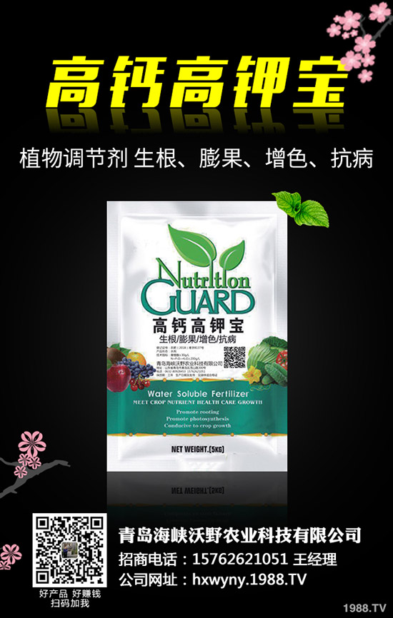 С�����s��ʲô�r����θ�����С���s�ݽ�Q������