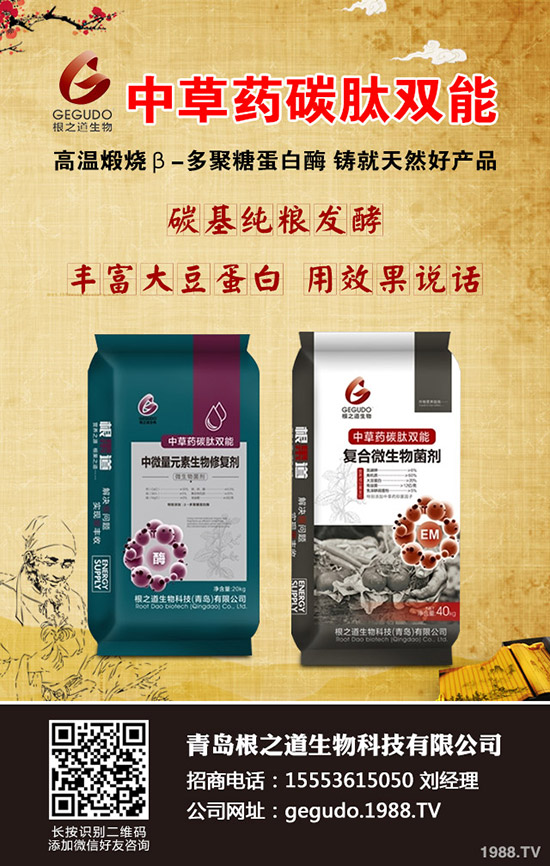 �������N����ĕ��ᣬ�������N�r�g��������