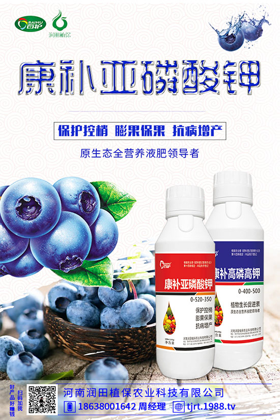 ���콷ʲô���N�����콷�ķNֲ���������x(ch��ng)������