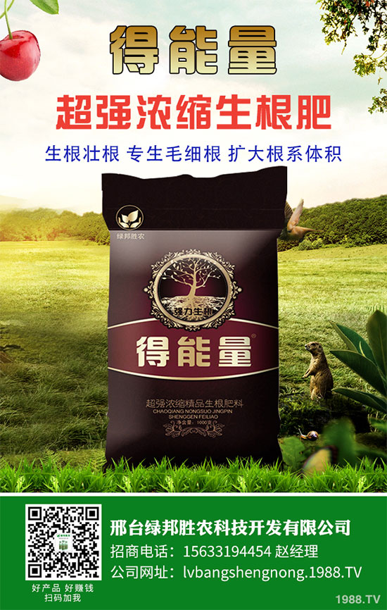 ���_�G���ٶȔy��1988.TV���_�ؾW(w��ng)�j(lu��)�����¾�����