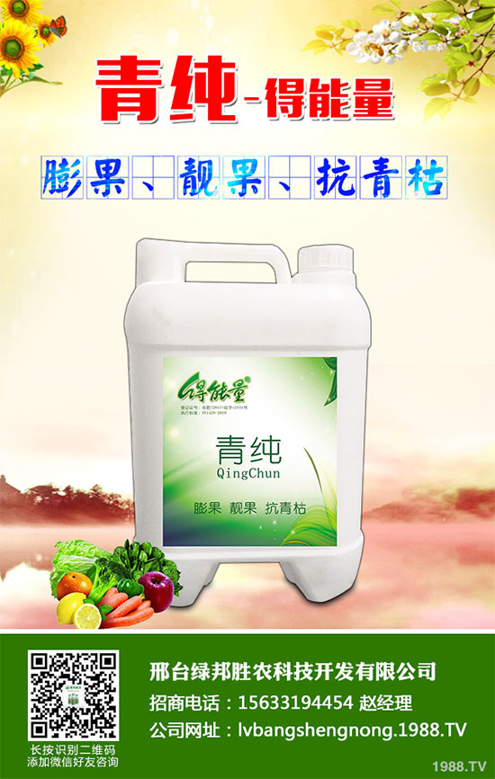 ���_�G���ٶȔy��1988.TV���_�ؾW(w��ng)�j(lu��)�����¾�����