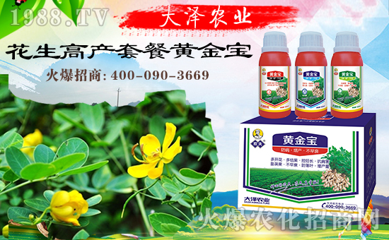 �������\�l(f��)չ�����ϴ���r(n��ng)�I(y��)�ٴκ��s1988.TV