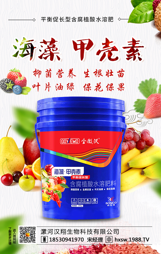 ��ӝh������Ƽ����޹�˾1