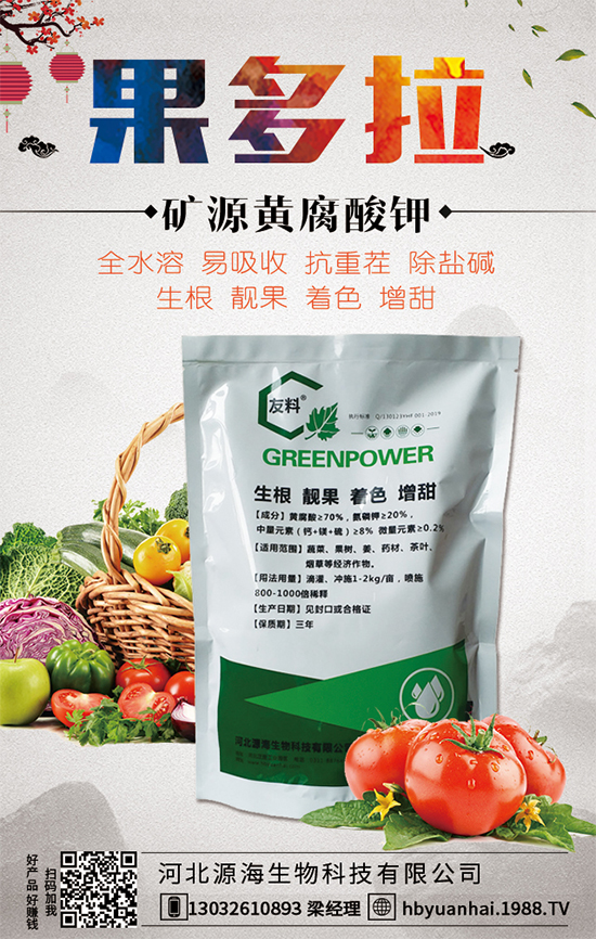 ������Ճr(ji��)������X(qi��n)һ�2020�����Nֲǰ�������