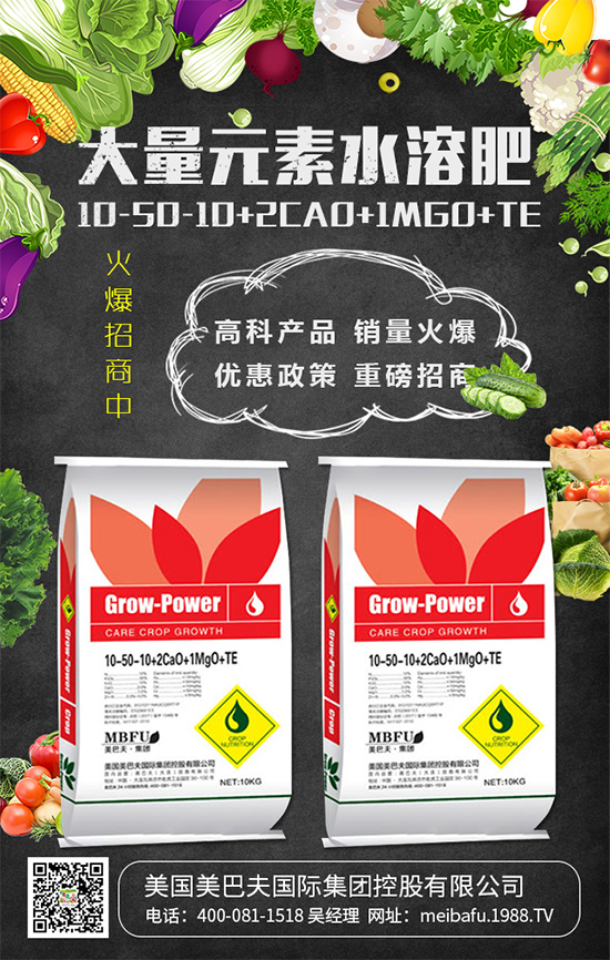 2020��Nֲʲô�߲˒��X����2020��Nֲʲô�߲�ǰ���ã�