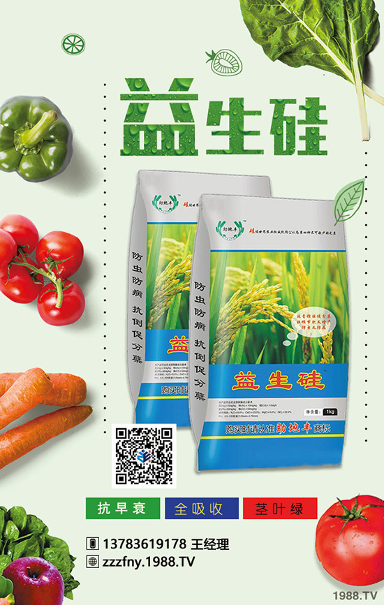 有機肥+生物菌肥的效果大,大到增產(chǎn)增收到害怕!