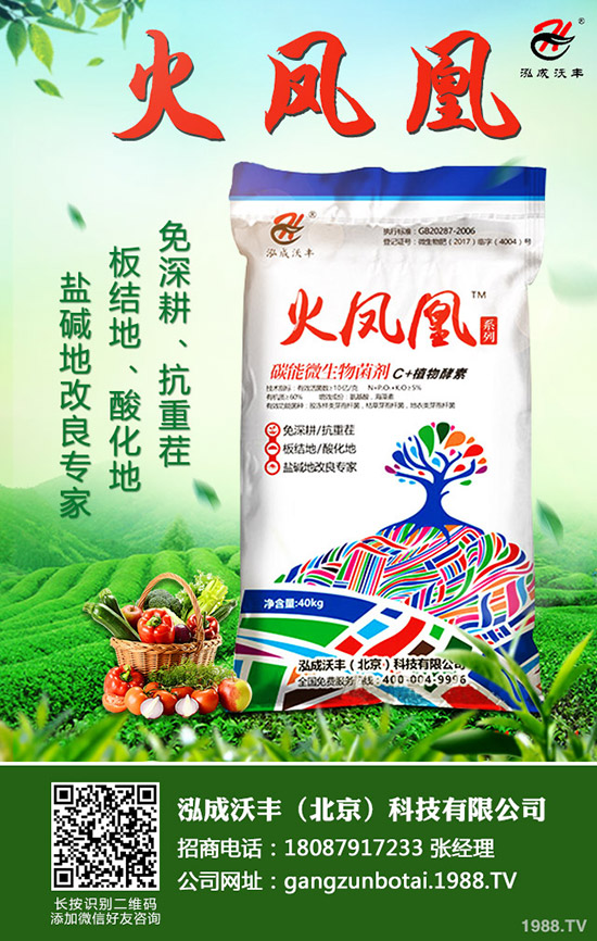     2020��Nֲ����ٍ�Xô��ǰ��������һ������Ͷ�Y��Ч�������