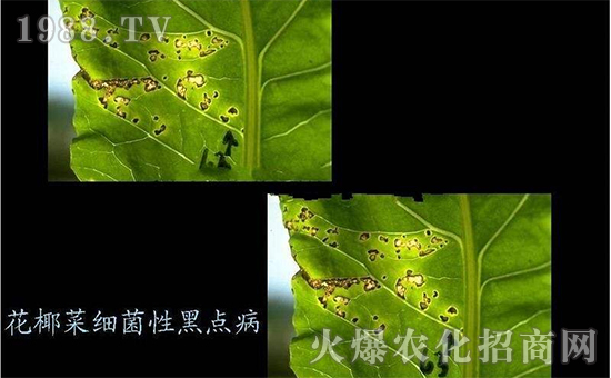 ��Ҭ�˼�(x��)���Ժ��c��3