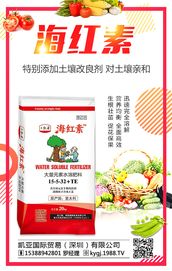 2020�껨���Nֲǰ�������������Nֲ�ĳɱ�������������	