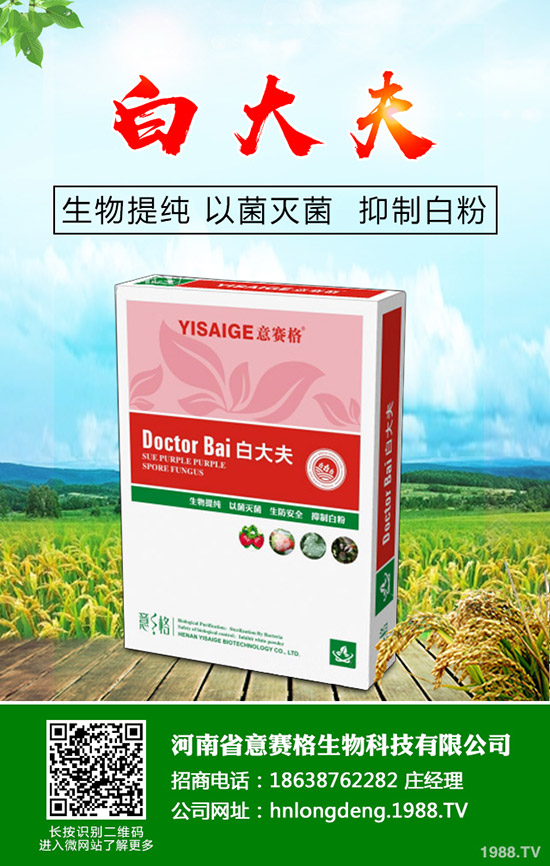 ���Ѷ���ʲô�r(sh��)���^�ã����Ѷ�����ʲô������