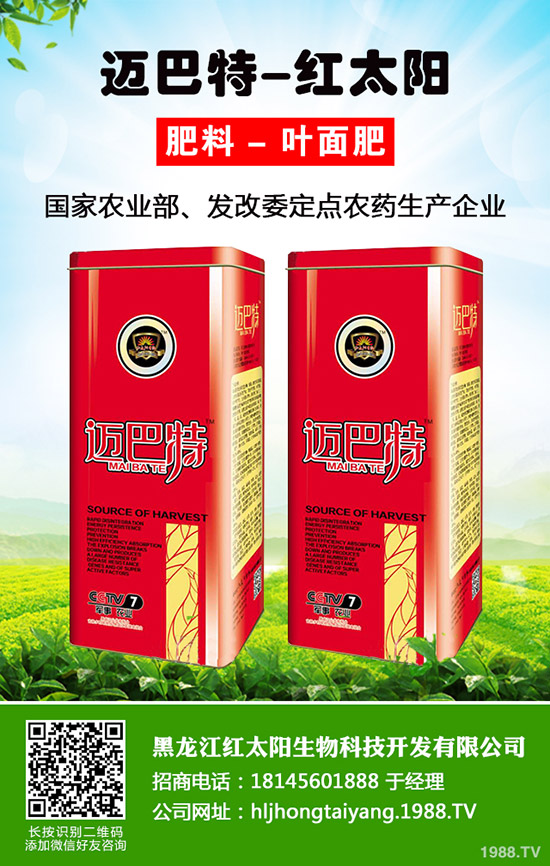 ���}�Nֲ��ýY����һ��Y�״ι������}�Nֲ������