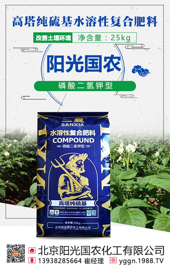 ���w�������@�ӵ���