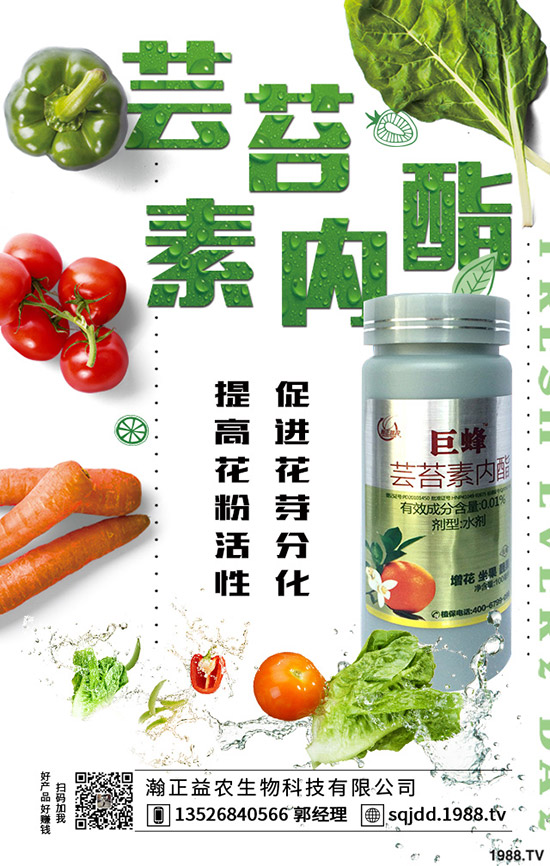 �����߲˲ɹ��ʵ�Σ���������ߴ����߲˲ɹ�����