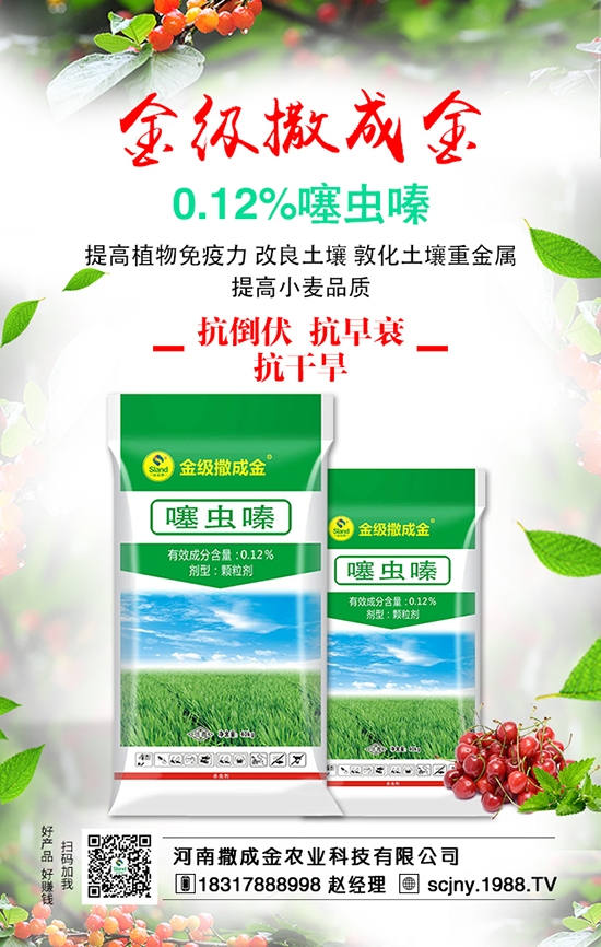 ���Է��ϊZ�����B��(w��n)������