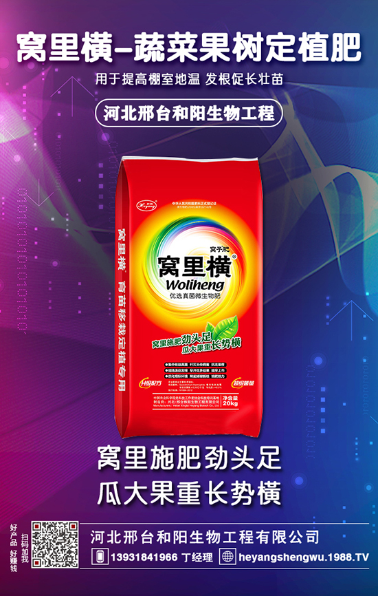 ���ϣ�����ʲô����ʲôӰ푣�