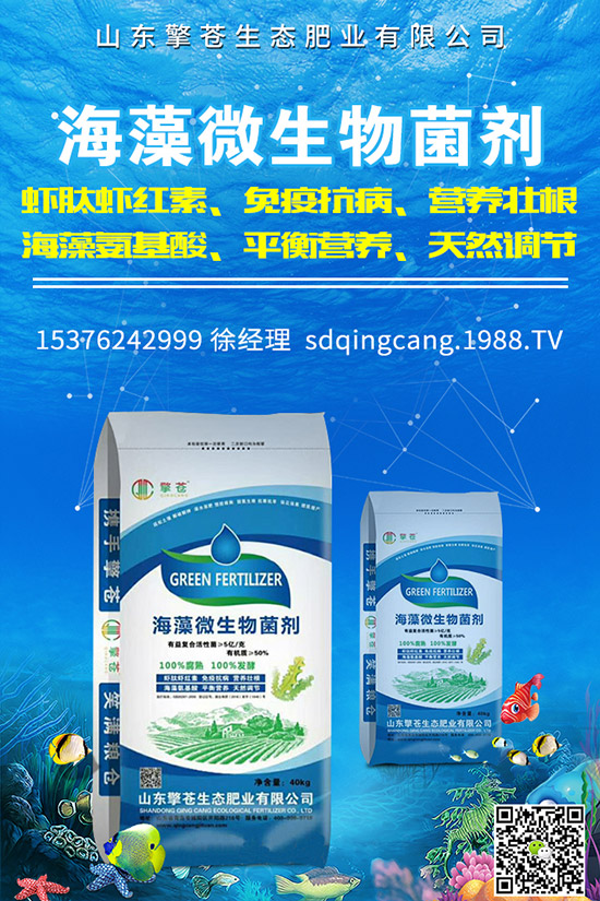     2019��12��2�ՏͺϷ������ů��������I(y��)���S������rһ�[��