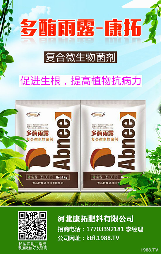 ����ÿ�������X��2019-12-20���ո������؃r(ji��)���߄ݷ���