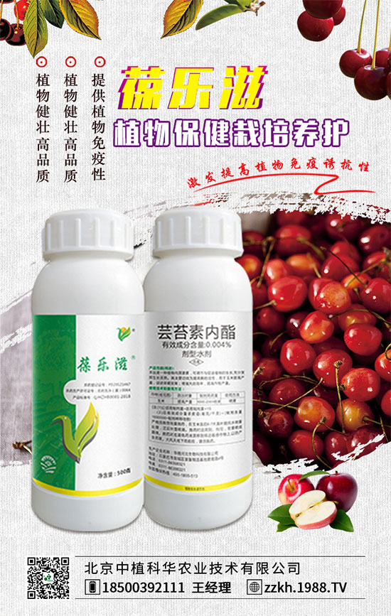 ��ռ�̙C(j��)���������A��������ֲ���A�ٺ�1988.TV���ل�(chu��ng)���x�ͣ�