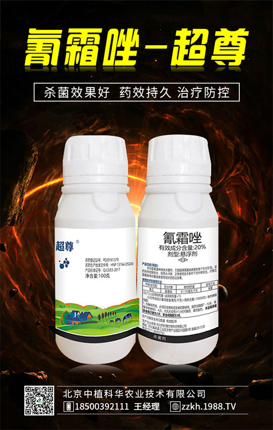 ��ռ�̙C(j��)���������A��������ֲ���A�ٺ�1988.TV���ل�(chu��ng)���x����