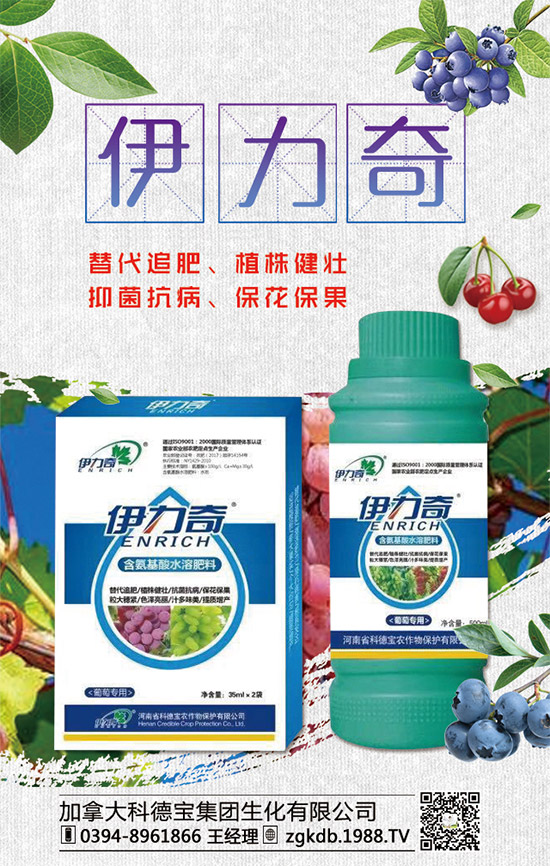     �R�����P(gu��n)�����@�����Ƿ��ϸ���2020����@�r�������߄��A(y��)�y��