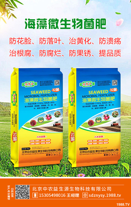     2019�����@�r(ji��)���߄�(sh��)һ����2020����һ�@�r(ji��)�������A(y��)�y(c��)��