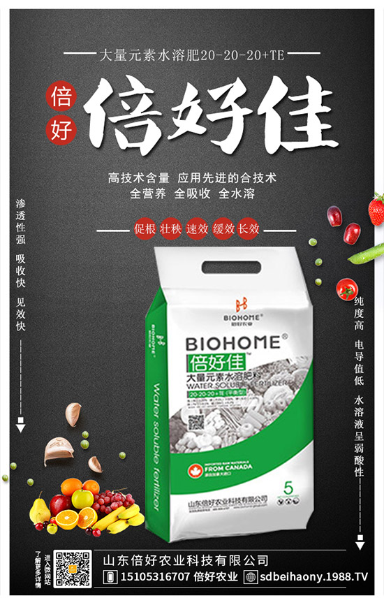 2019葡萄價格低的原因!2020年葡萄種植賺錢么?種植前景及成本分析!