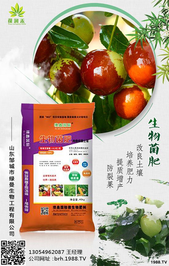 �����߲˷Nֲ��Ҫע��ʲô�������߲�ʩ��ע��Ҫ�c��