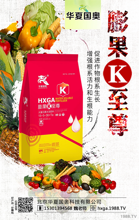 �Nֲľ��ǰ�� �Nֲľ��Ч��