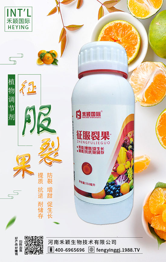 ľ����ʲô�r�g�Nֲ��ľ���˷Nֲ������