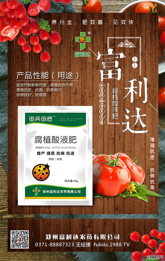 �Nֲʲôˎ����ٍ�X��2020����ˎ�ķNֲǰ������