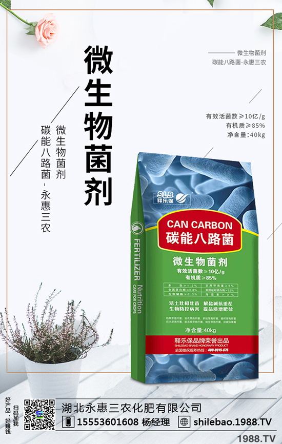 2020����÷�ķNֲǰ����Σ���÷�r������Xһ����