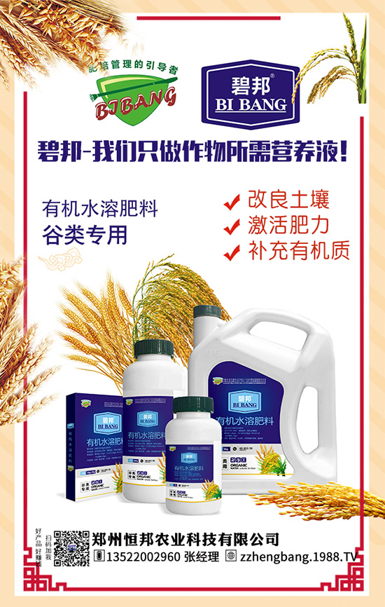 ����������Щ��̎������Ĺ�Ч���ü�ʳ�ý���