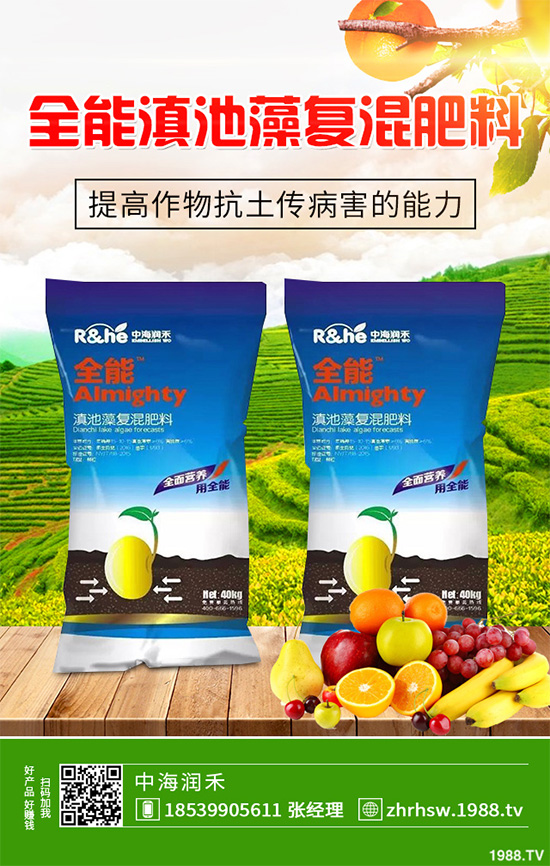 ���r����͸���������Щ�^(q��)�e���ǂ�(g��)Ч��������