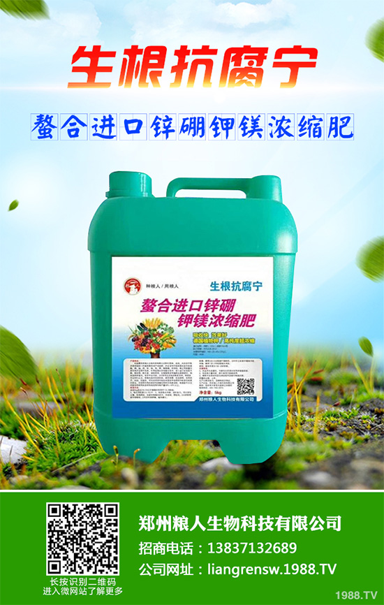 ���r����͸���������Щ�^(q��)�e���ǂ�(g��)Ч��������