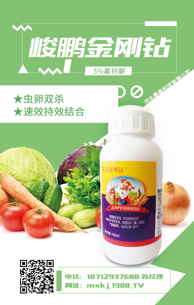 �ӱ�ī�οƼ����޹�˾