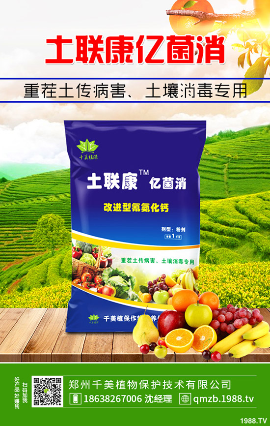     2020���؃r(ji��)��������Σ���(hu��)�qô��12��30�ո��؅^(q��)�����������S��(b��o)�r(ji��)��