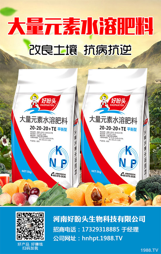 ������֪���Ľ�ɏ���p���ų����w11�N������