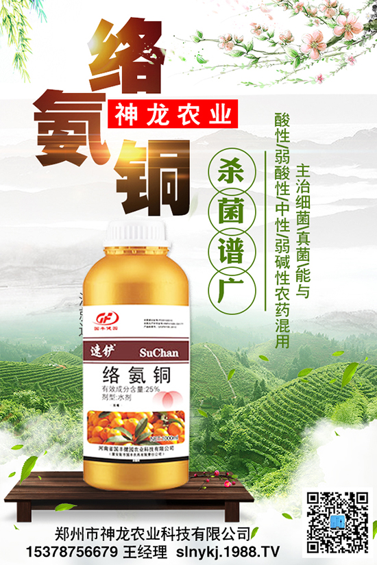 ���Ϻò��ã��|�����P�I��Ч������������Ҫ��