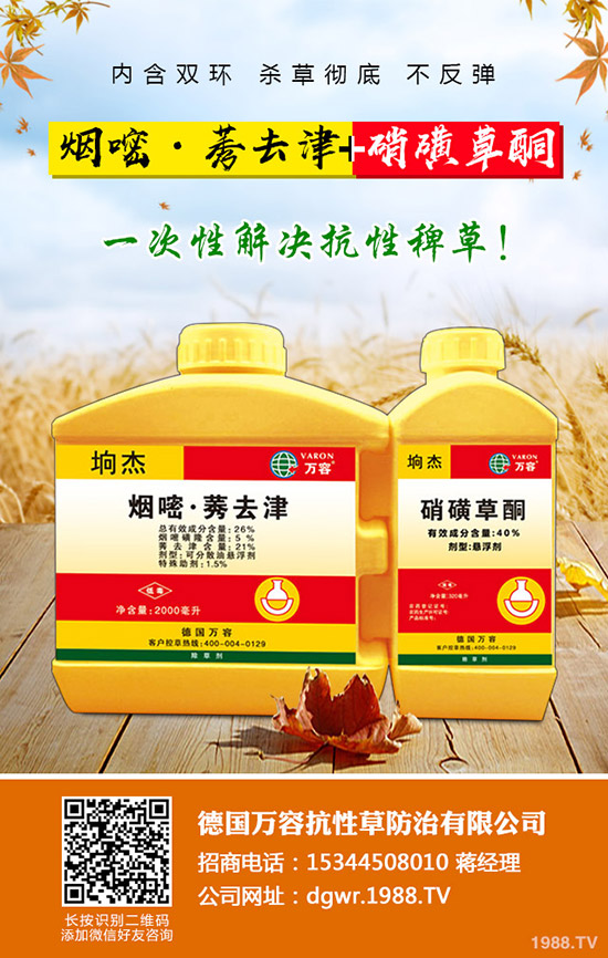 ������Nֲ�ļ���(ji��)�����Ӹ߮a(ch��n)�NֲҪ�c��