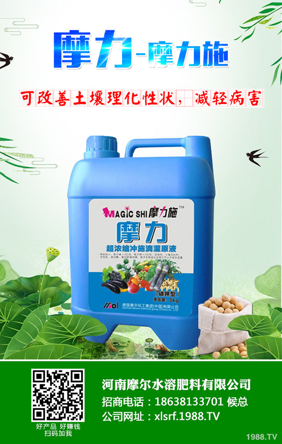 �����ʲô���Ϻã����ʩ�ʼ��g(sh��)����Щ��