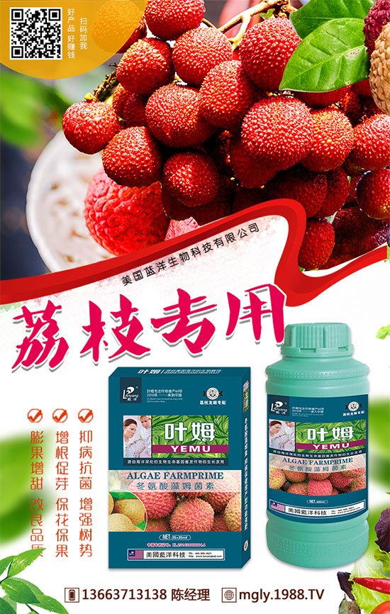 �t�탦(ch��)�ص��������t�탦(ch��)������Щ������