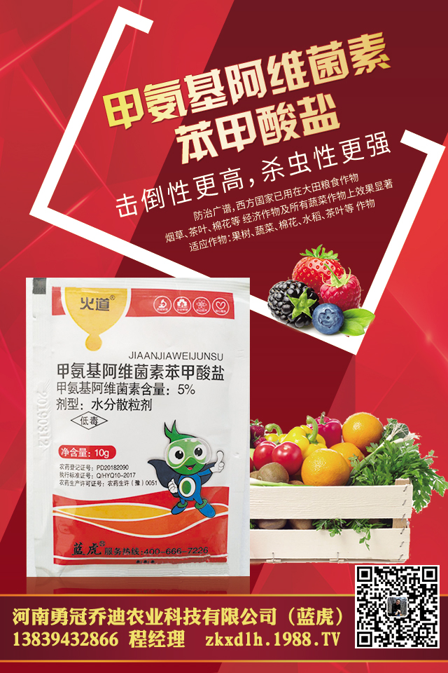 ���[������ô���������[��Ҋ(ji��n)���x(ch��ng)������