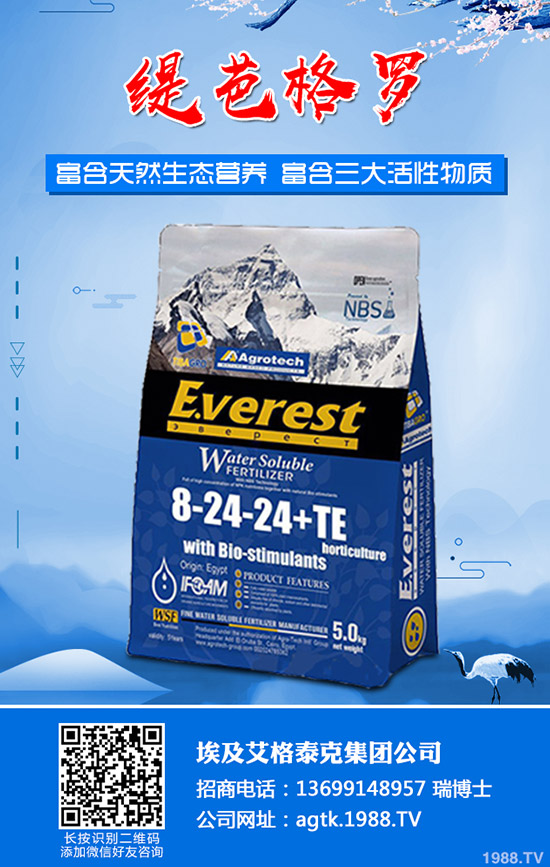 茄子什么時間育苗？茄子育苗方法