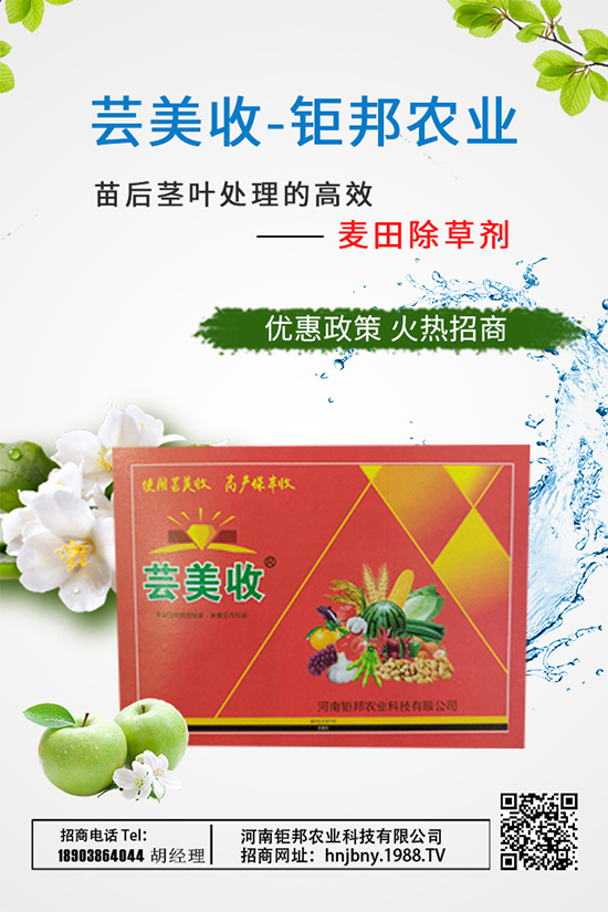 ���[������������[ʩ�ʼ��g(sh��)Ҫ�c(di��n)����Щ��