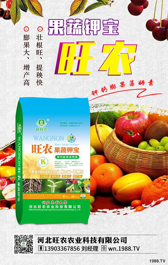 ��������ķNֲ�r(sh��)�g������������������Ҫ�c(di��n)����Щ��