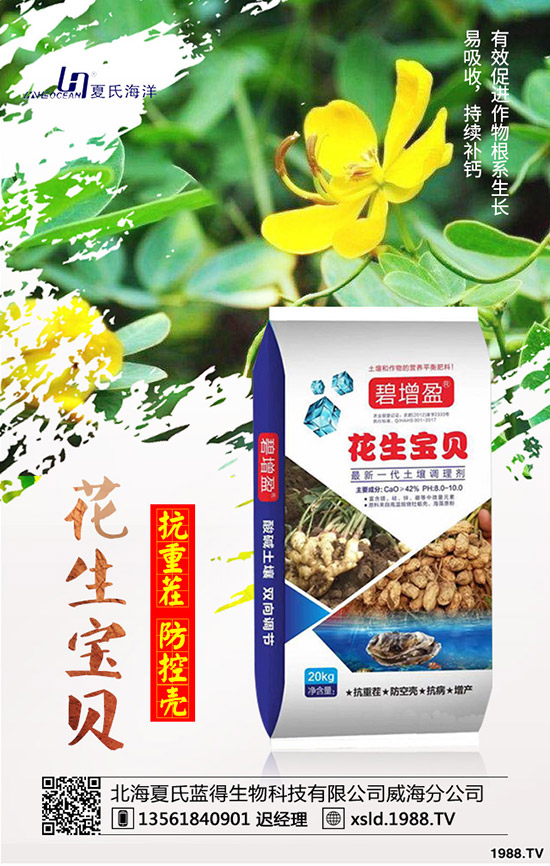 ���{���Nǰ����������{���߮a(ch��n)�NֲҪ�c��